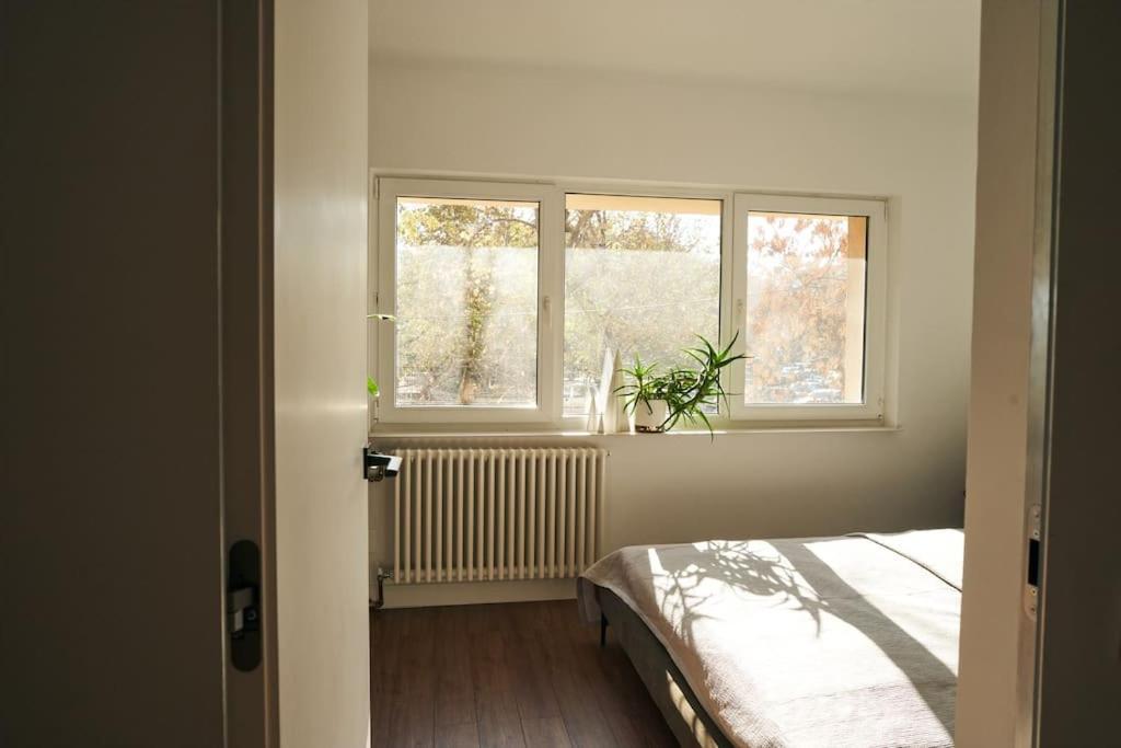 Ultracentral Two Rooms Apartment In Βουκουρέστι Εξωτερικό φωτογραφία
